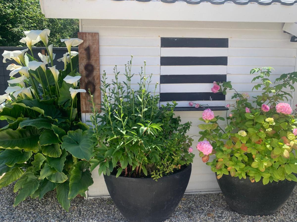 Cottage Le Cerf-Volant Saint-Aubin-Sur-Mer  Exterior photo